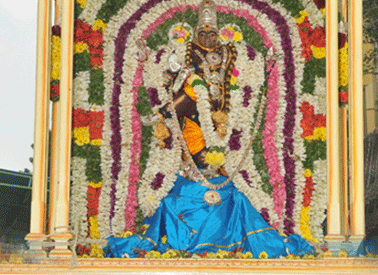 Aarudhra Dharshanam 2011 Photos