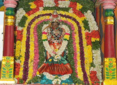 Aarudhra Dharshanam 2011 Photos