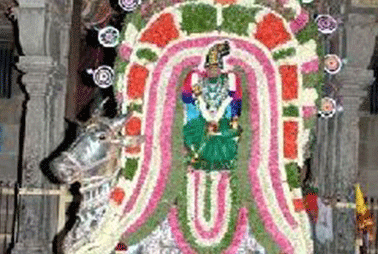 Kongu Nachiamman Temple Urchavam Photos